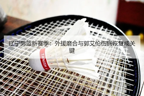 辽宁男篮新赛季：外援磨合与郭艾伦伤病恢复成关键